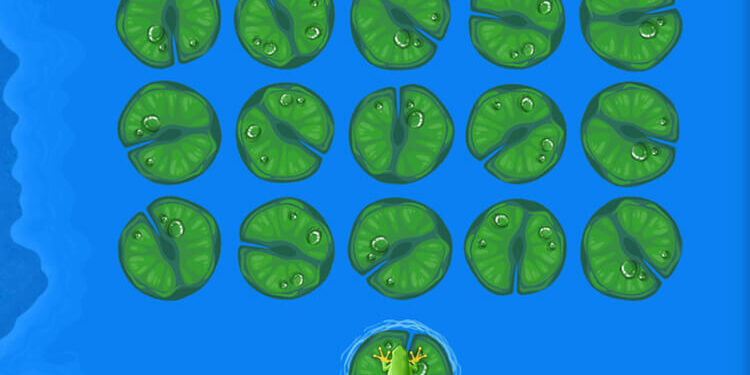 jugar-al-juego-de-la-rana-swamp-land