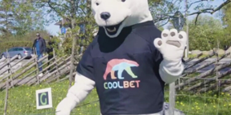 juegos de bingo animal coolbet