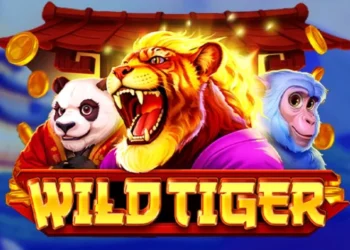wild-tiger-slot-bgaming-2